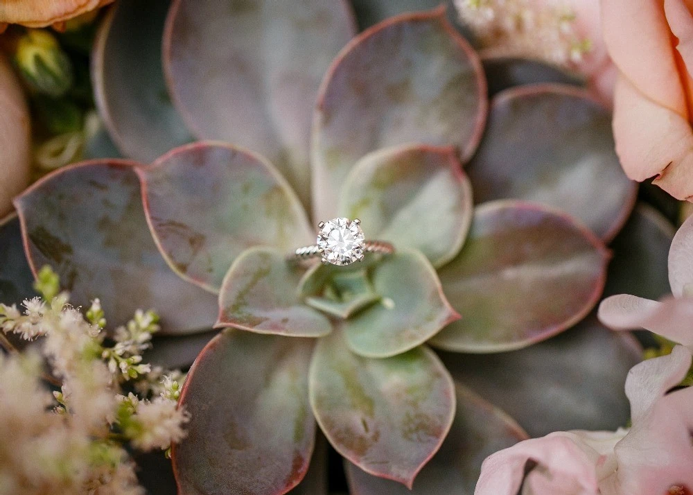 A Wedding for Jenne and David