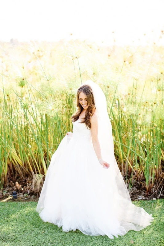 A Wedding for Mary jane and Matt