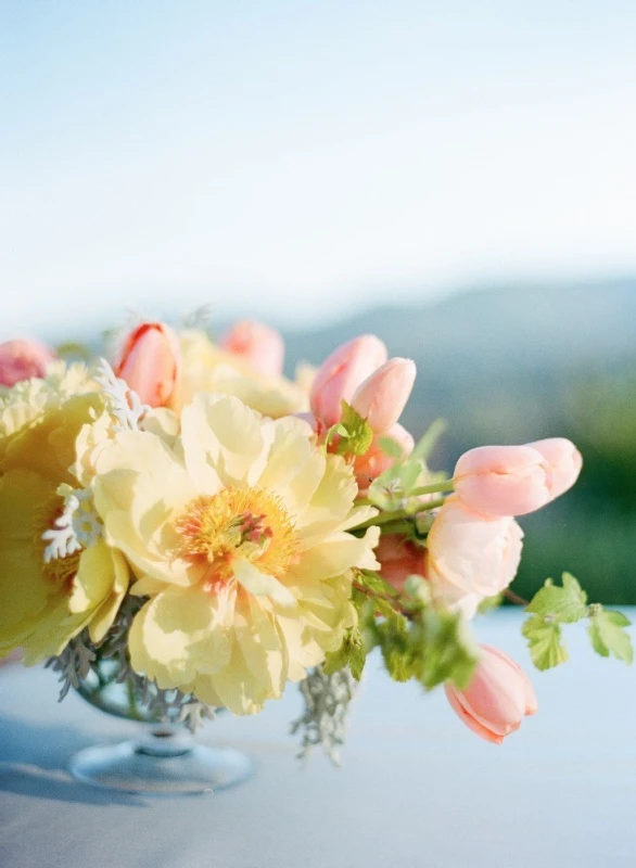 A Wedding for Sarah and James