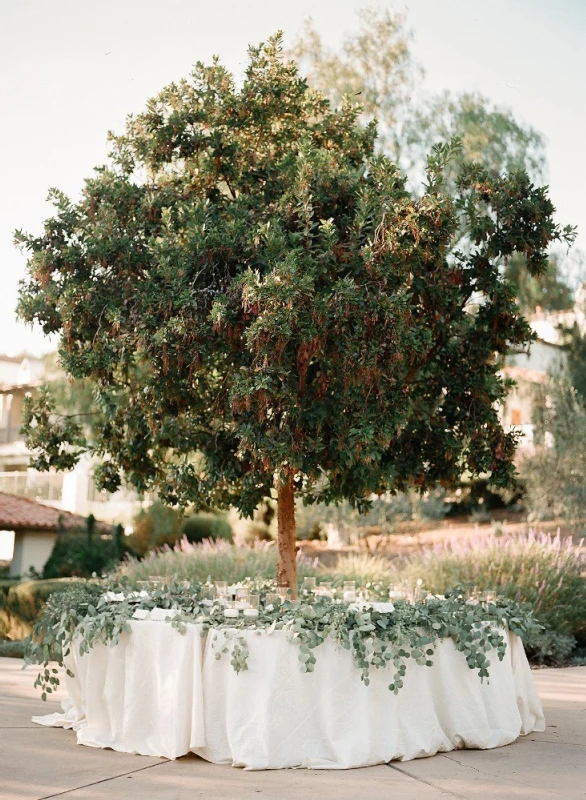 A Classic Wedding for Lauren and Pete