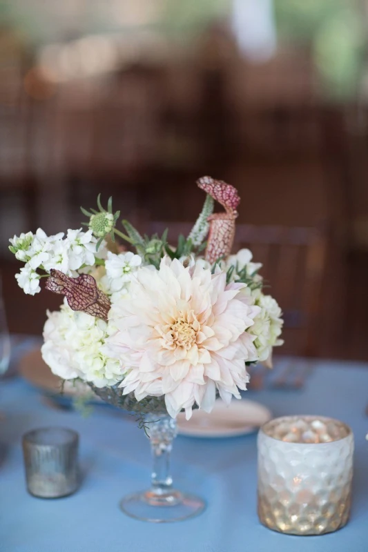 A Wedding for Lauren and Tyler