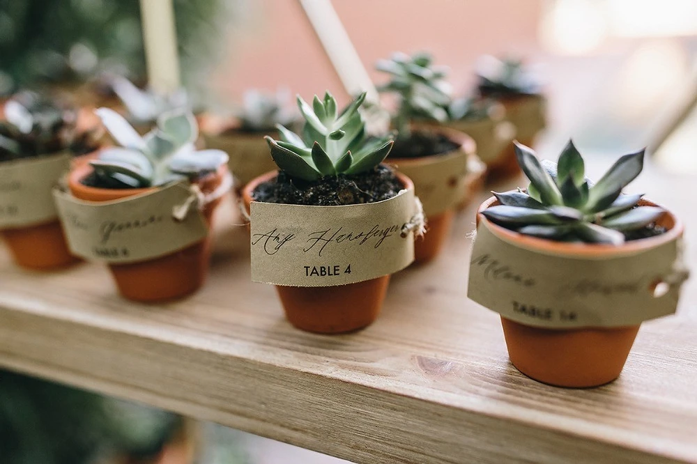 A Rustic Wedding for Annie and Zach