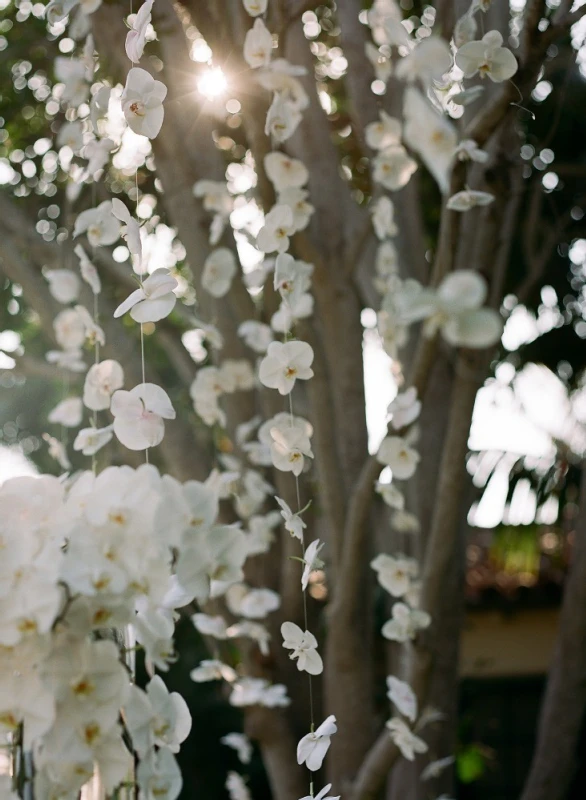 A Modern Wedding for Courtney and Ben