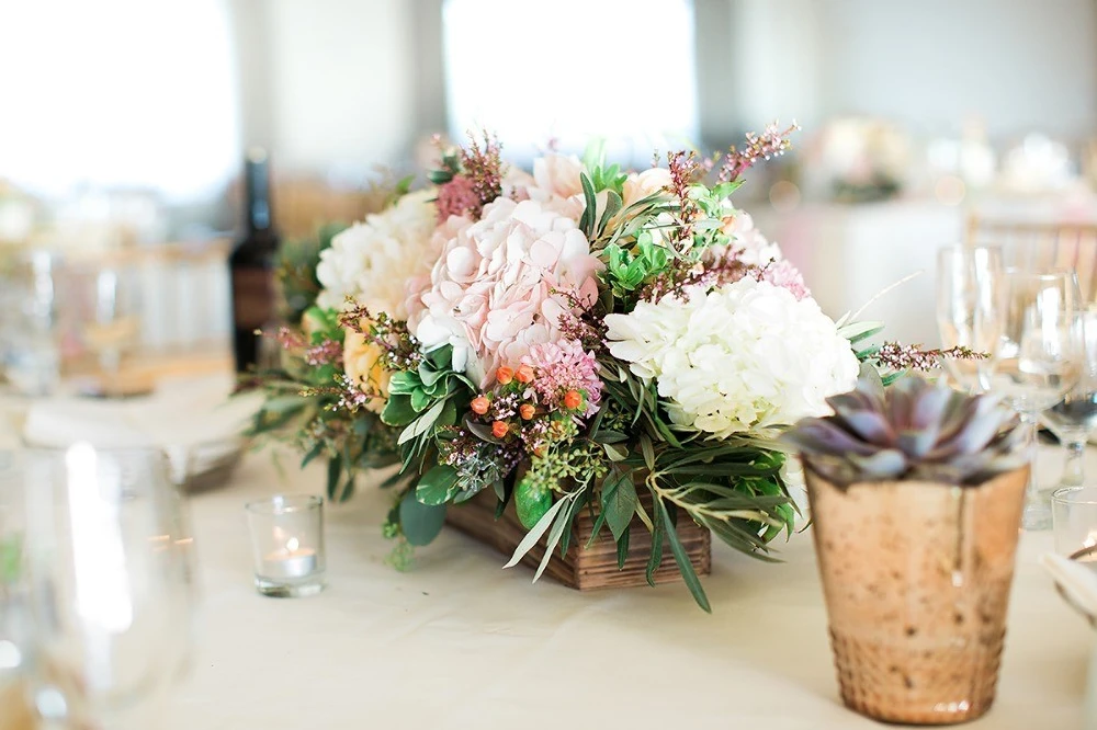 A Wedding for Hannah and Clifford