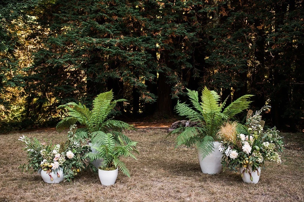 A Forest Wedding for Tina and Bj