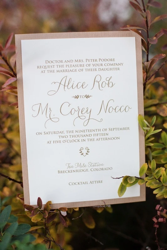 A Wedding for Alice and Corey