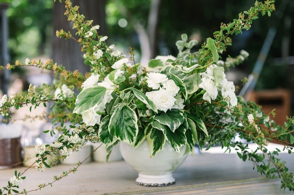 An Outdoor Wedding for Mackenzie and Cullen