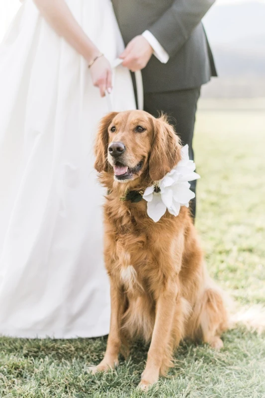 A Classic Wedding for Mary and Jonathan