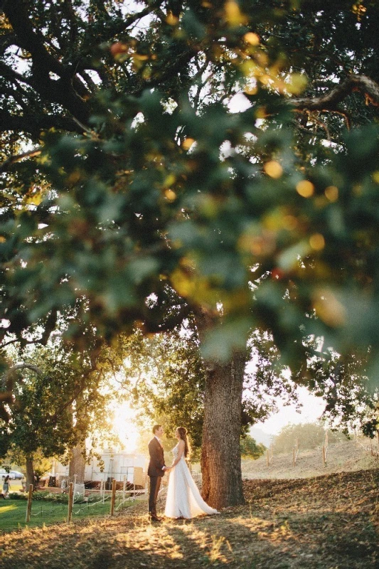 A Wedding for Lauren and Justin