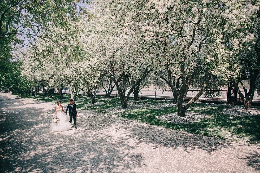 A Wedding for Theresa and Dane