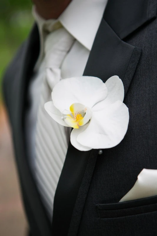 A Wedding for Stephanie and Brandon