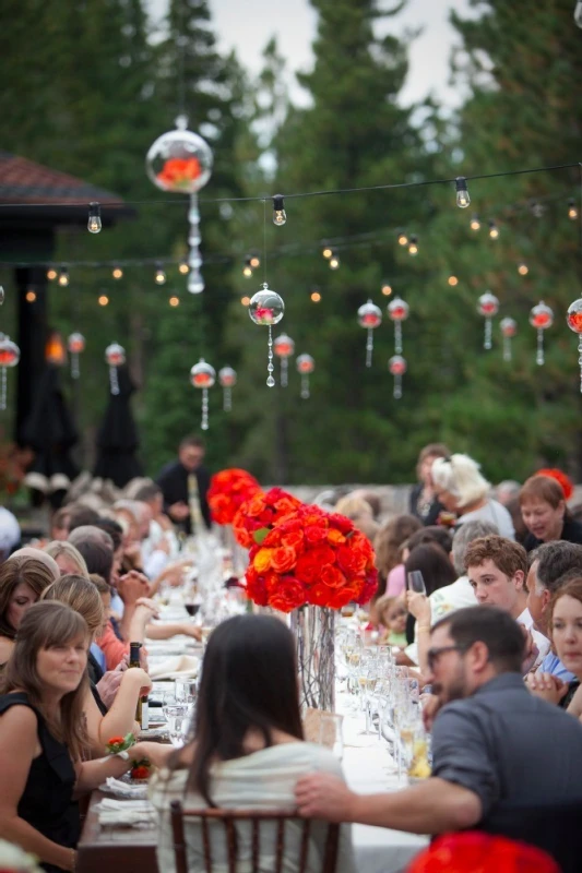 A Wedding for Julia and Seth