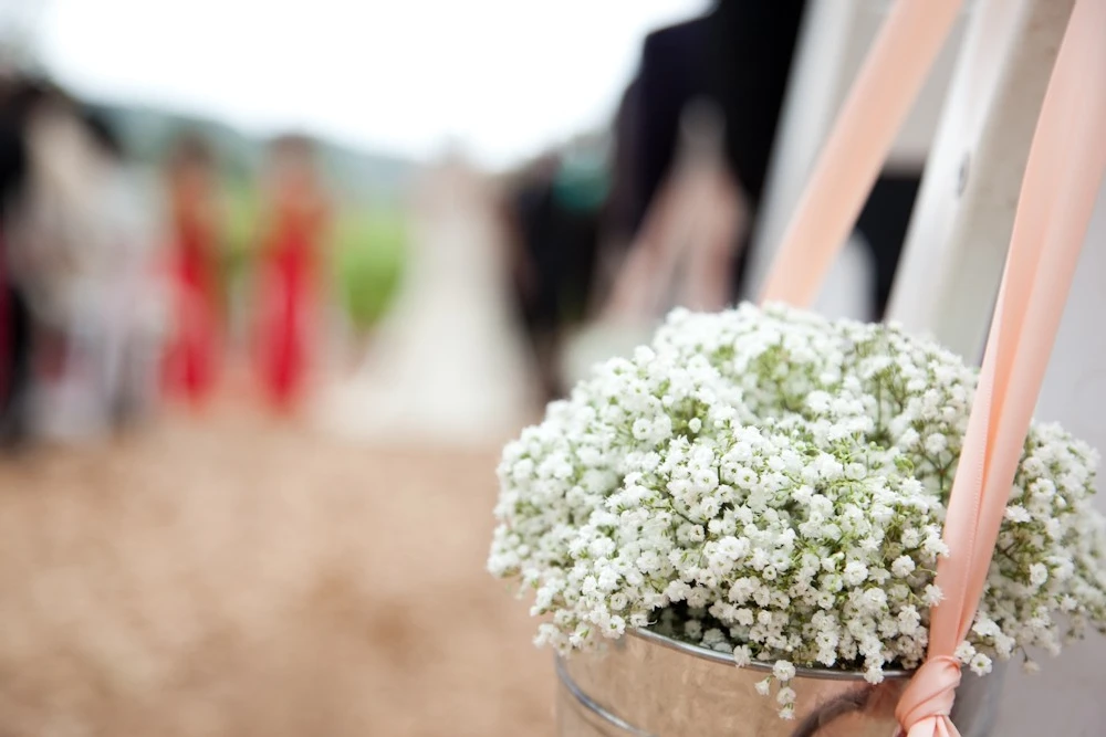 A Wedding for Deanna and Daniel