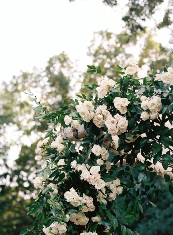 A Formal Wedding for Abigail and Michael