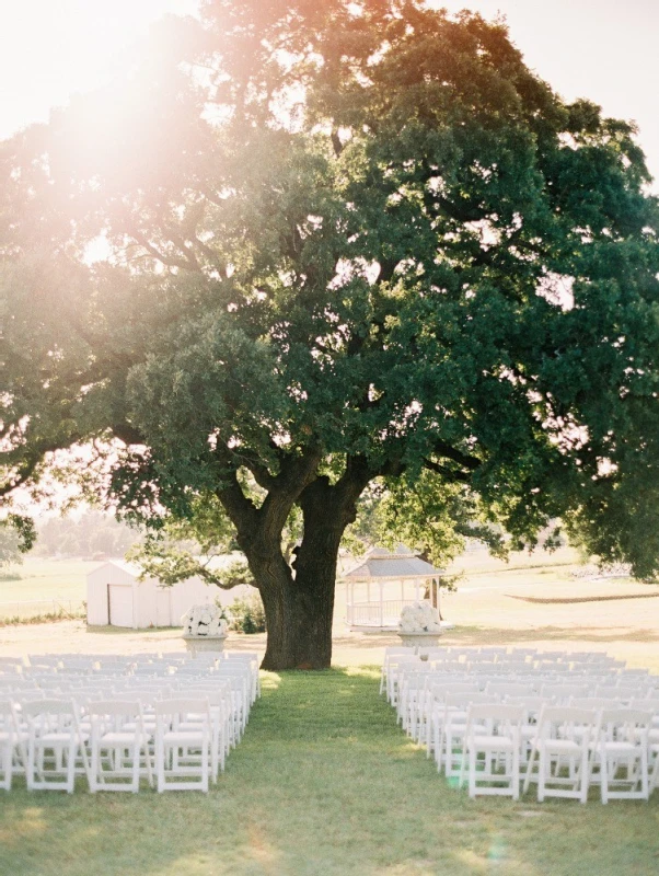 A Wedding for Amanda and Stefan