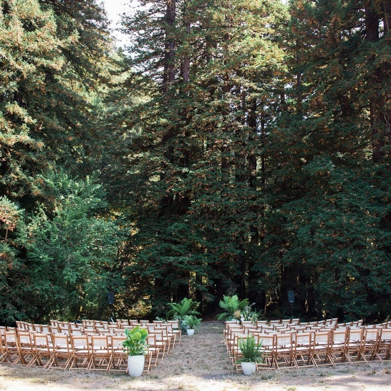 A Forest Wedding for Tina and Bj