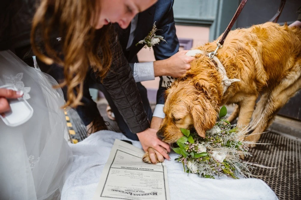 A Mountain Wedding for Emily and Matt