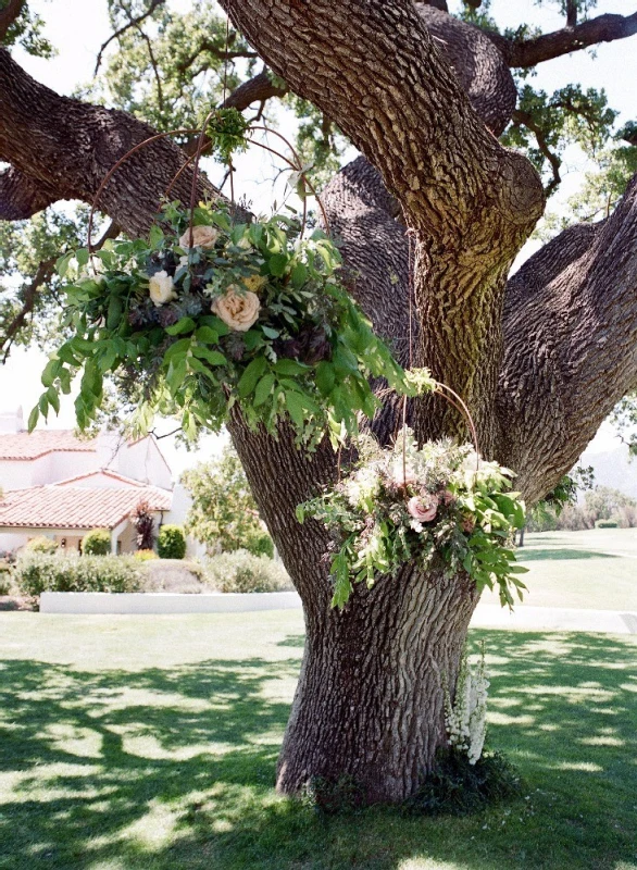 A Wedding for Carol and Andrew