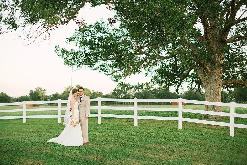 A Wedding for Lauren and Todd