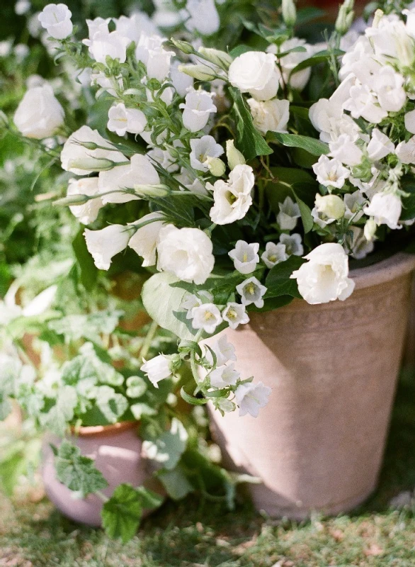 A Rustic Wedding for Carolina and Ethan