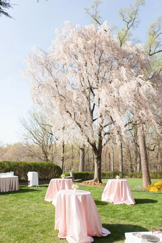 A Wedding for Ellie and Ken