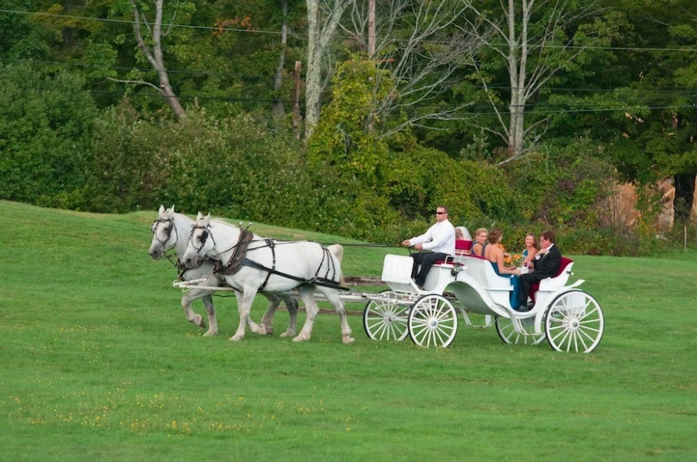 A Wedding for Lauren and Ben