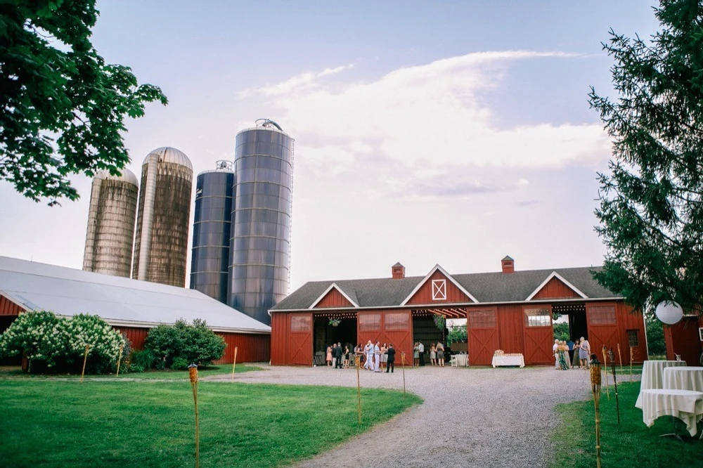 A Wedding for Holly and Dave