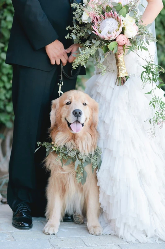 A Wedding for Meg and Scott