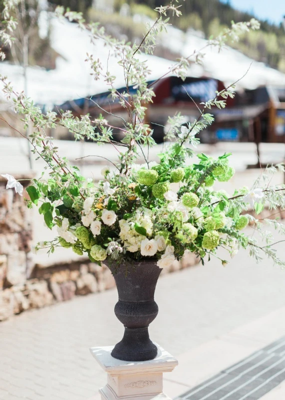 A Classic Wedding for Vanessa and Sean