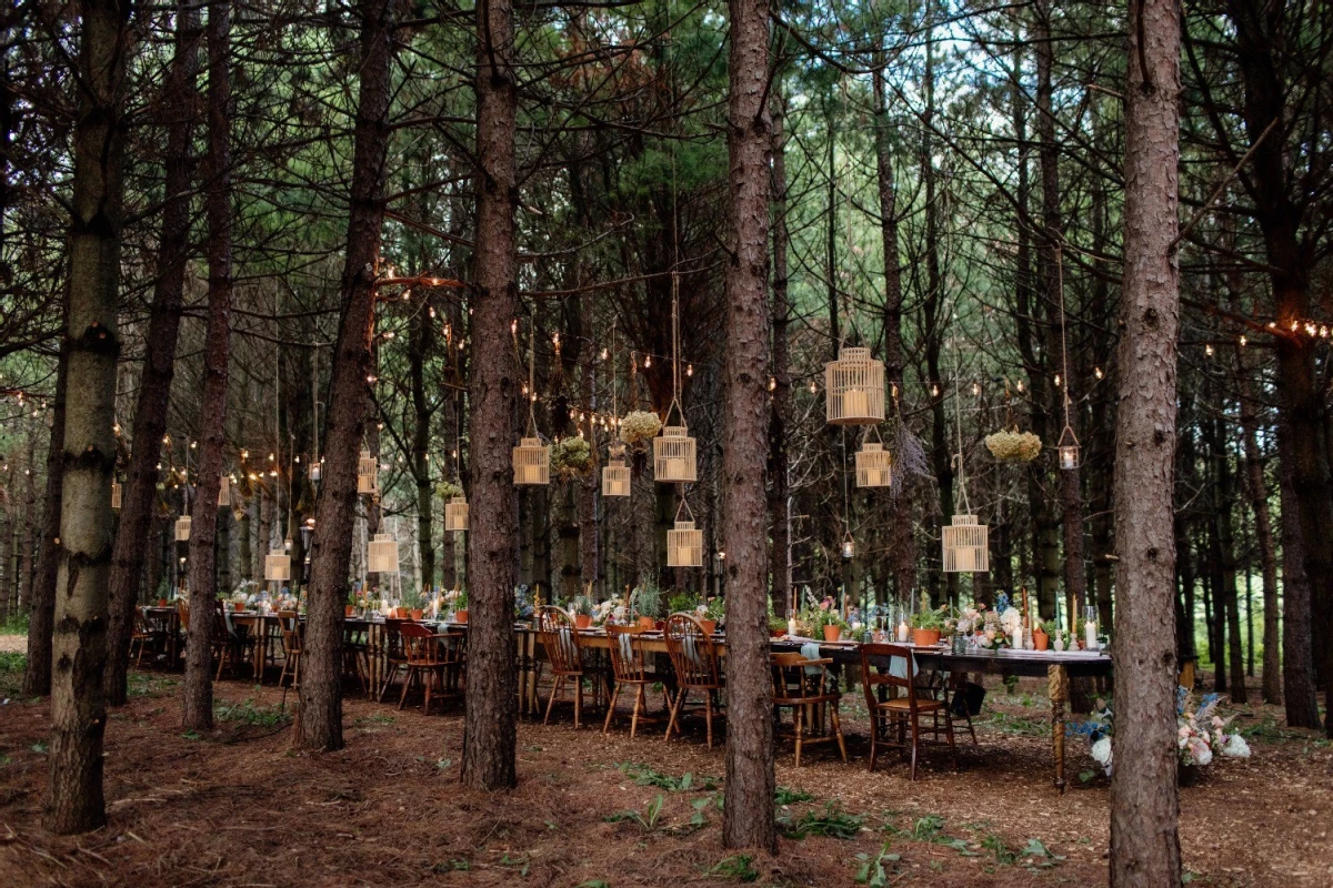 A Forest Wedding for Ali and John