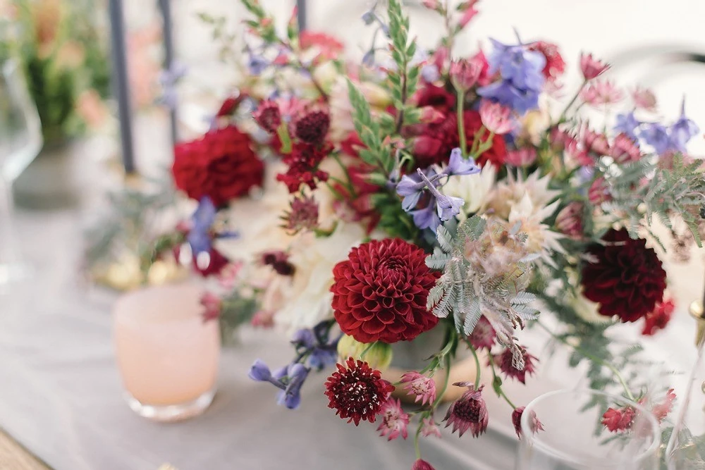 A Wedding for Caitlin and Andrew