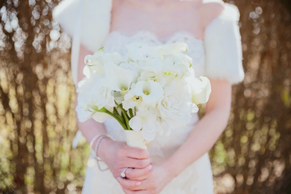 A Wedding for Samantha and Brendan