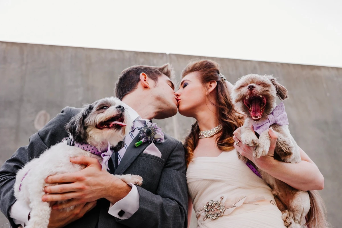 A Wedding for Holly and Andy