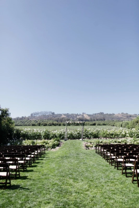 A Wedding for Carol and Paul