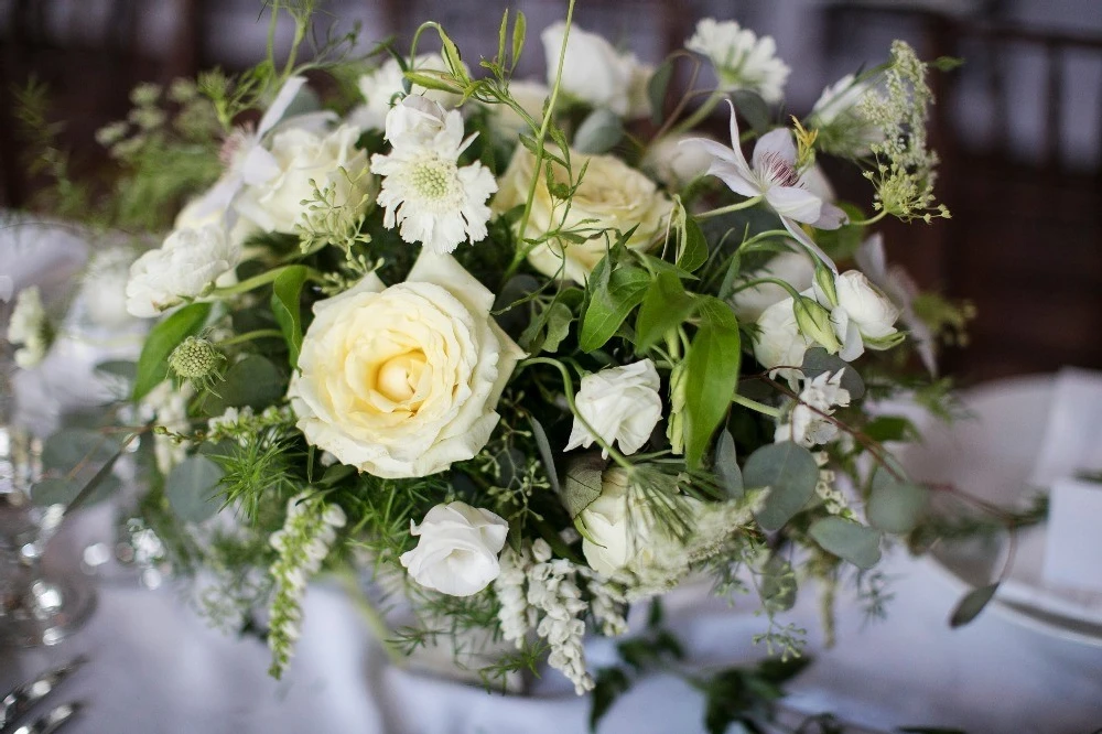 A Wedding for Polly and Jan