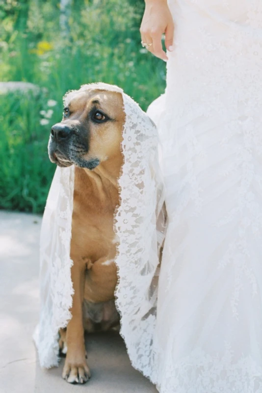 A Wedding for Shanna and Chase