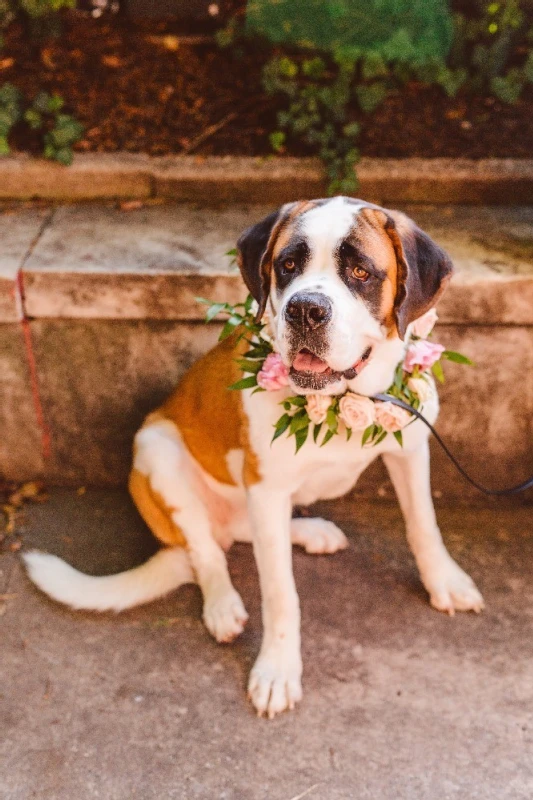 A Wedding for Tori and Pete