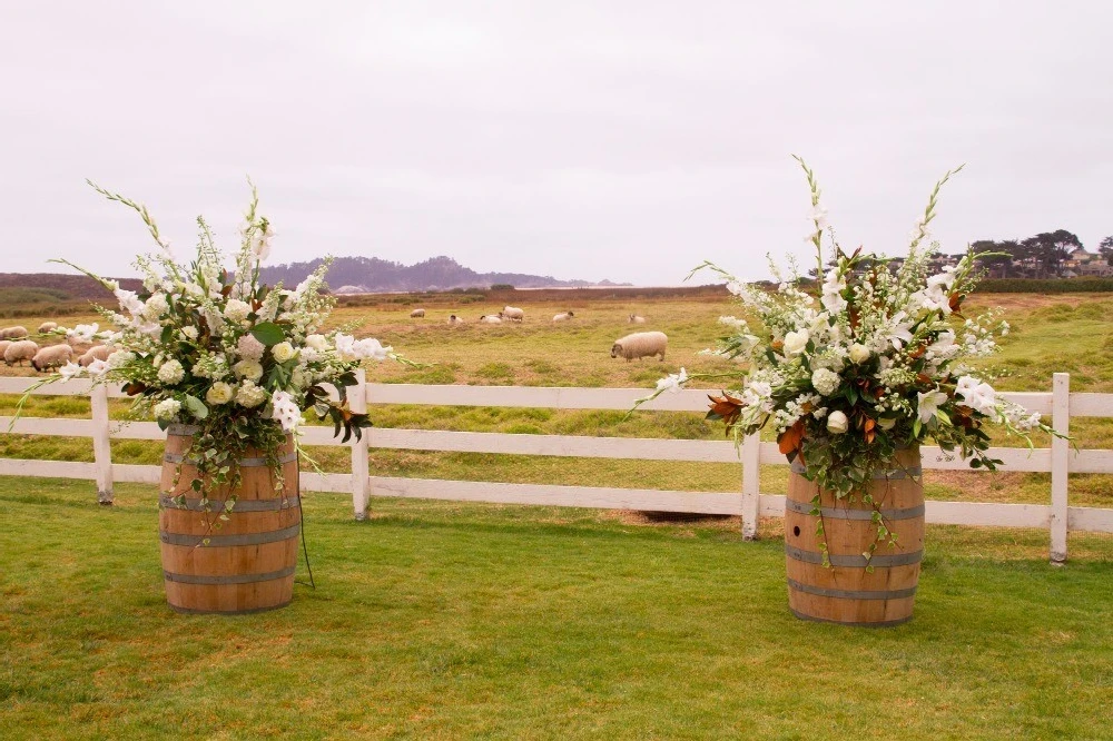 A Wedding for Sam and Brad