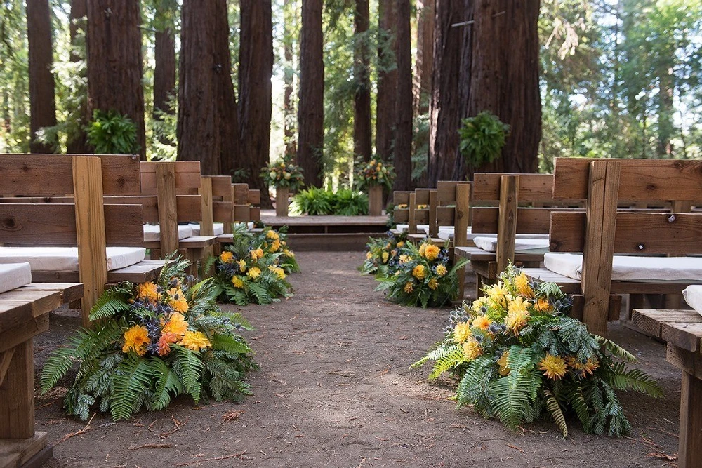 A Wedding for Abby and Wes