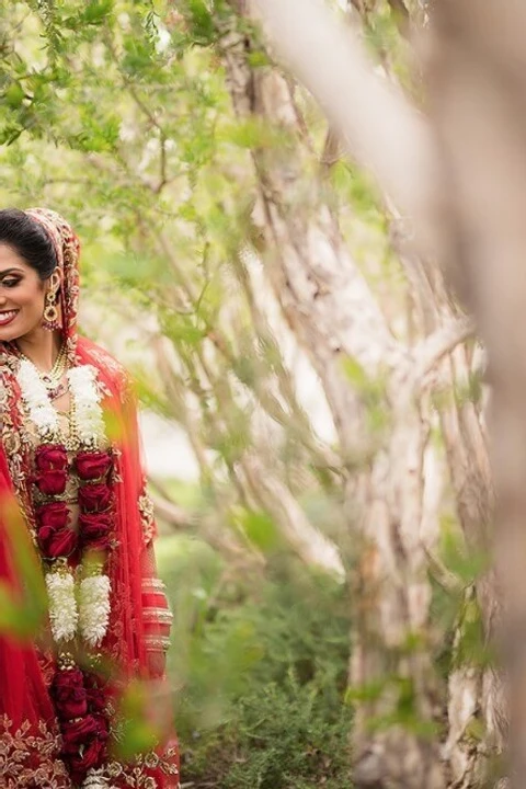 A Wedding for Megha and Nikhil