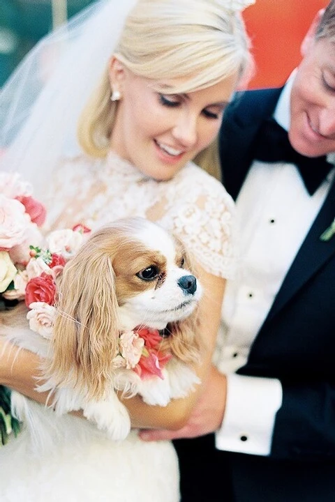 A Wedding for Molly and Patrick