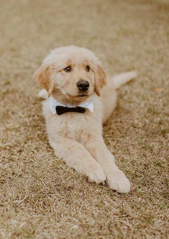 A Boho Wedding for Macy and Blake