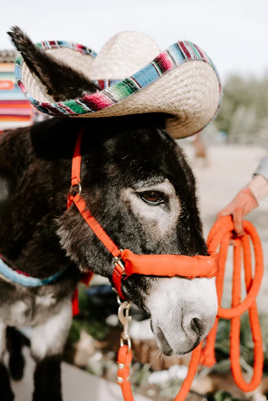 A Desert Wedding for Sarah and Ben