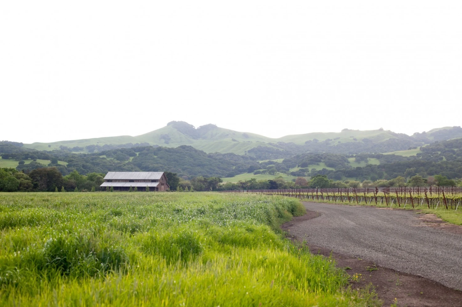 The Barn At Green Valley