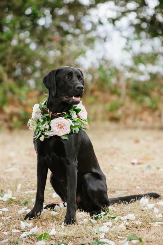 A Waterfront Wedding for Abby and Lewis