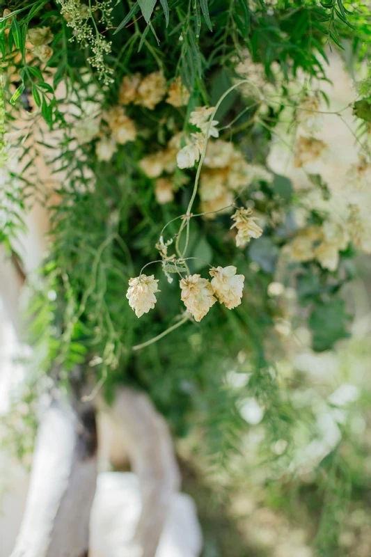 A Beach Wedding for Lindsay and Cody