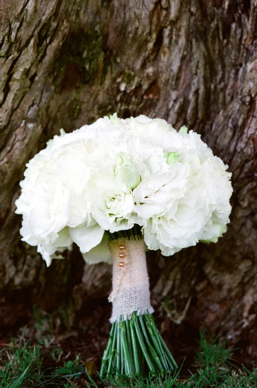 An Outdoor Wedding for Cindy and Carl