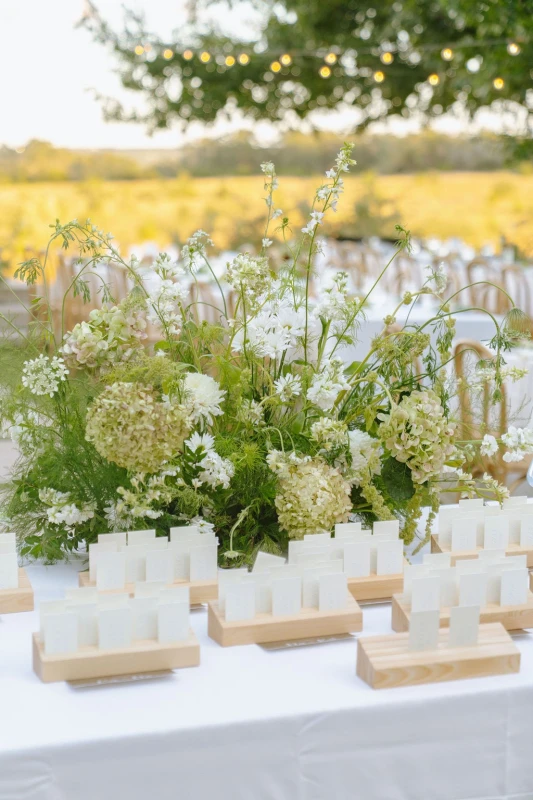 An Airy Wedding for Aili and Skyler