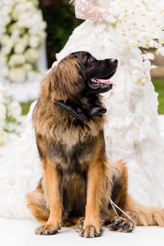 An Outdoor Wedding for Amber and Mark