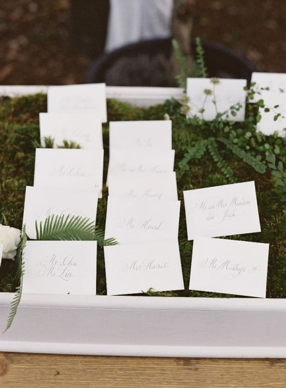 A Wedding for Alice and Forrest